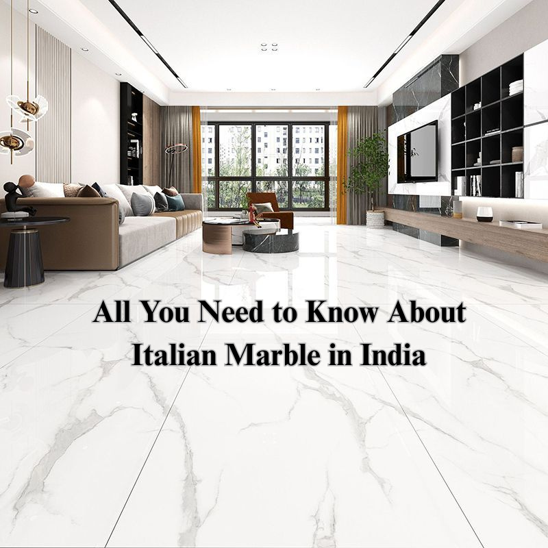 Read more about the article All You Need to Know About Italian Marble in India